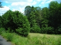 DSCN0866.JPG