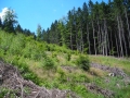 DSCN0868.JPG