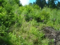 DSCN0869.JPG