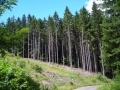 DSCN0870.JPG