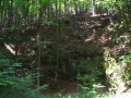 DSCN0871.JPG