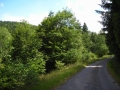 DSCN0884.JPG
