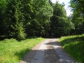 DSCN0886