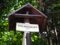 DSCN0888.JPG