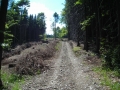 DSCN0890.JPG