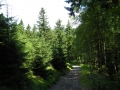 DSCN0891.JPG