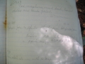 DSCN0892.JPG