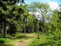DSCN0898.JPG