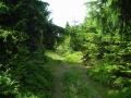 DSCN0899.JPG