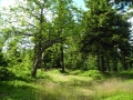 DSCN0900.JPG