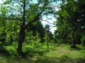 DSCN0901.JPG