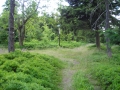 DSCN0902.JPG