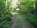 DSCN0903.JPG