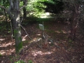 DSCN0906.JPG