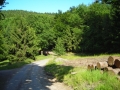 DSCN0919.JPG