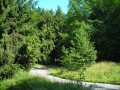 DSCN0920.JPG