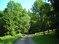 DSCN0921.JPG