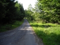 DSCN0922.JPG